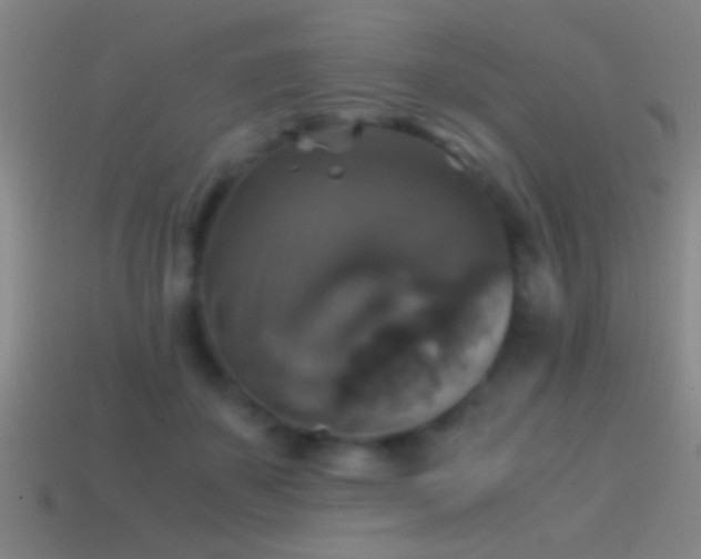 X0000114390507200910161256