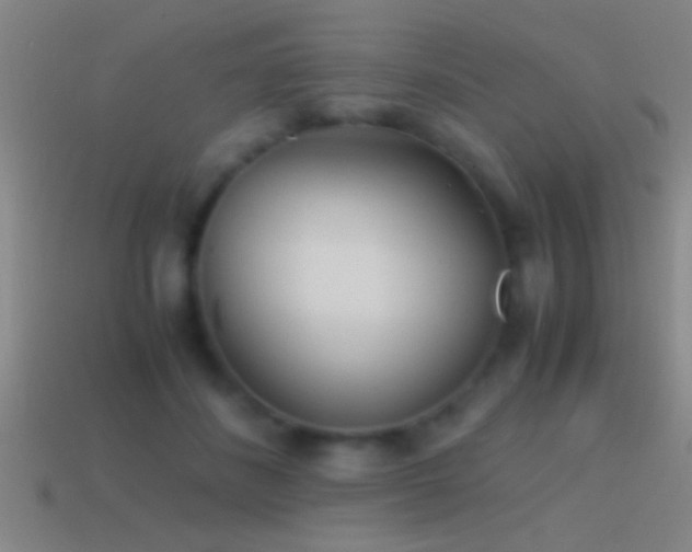 X0000114390508200910161256