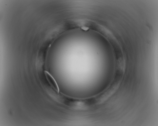 X0000114390509200910161256