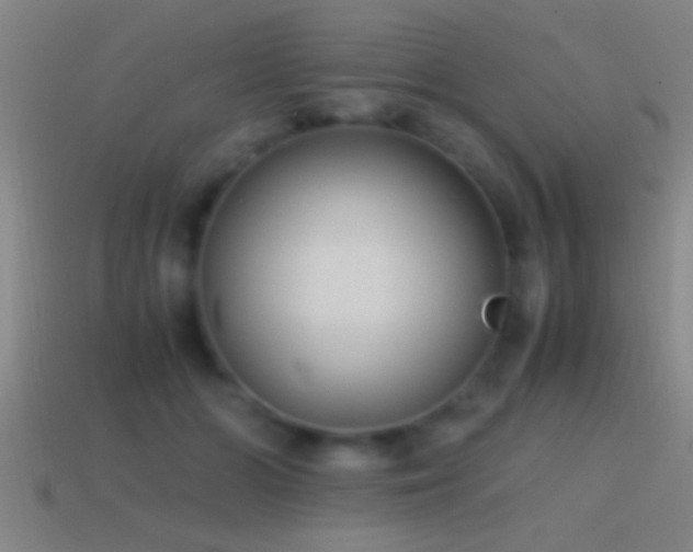 X0000114390510200910161256