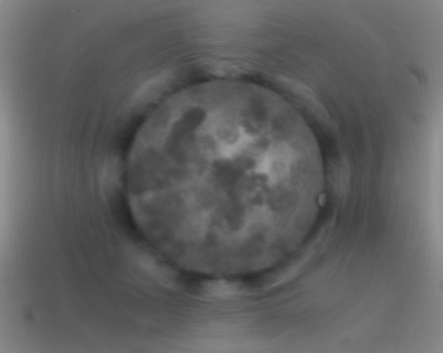 X0000114390511200910161256