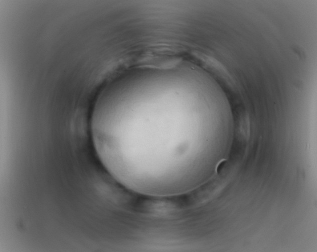 X0000114390512200910161256