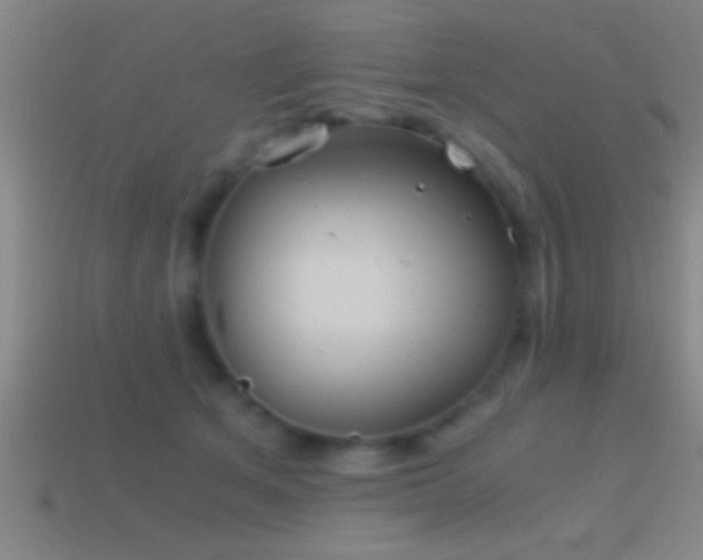 X0000114390513200910161256