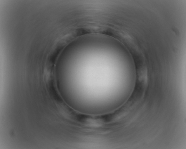 X0000114390515200910161256