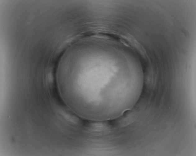 X0000114390516200910161256