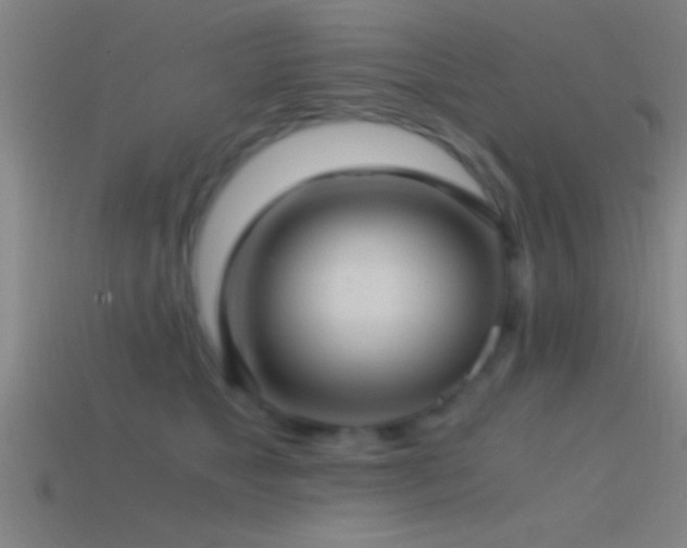 X0000114390517200910161256