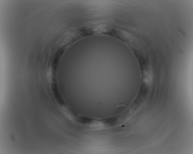 X0000114390519200910161256