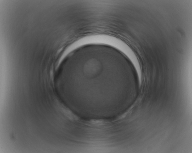 X0000114390520200910161256
