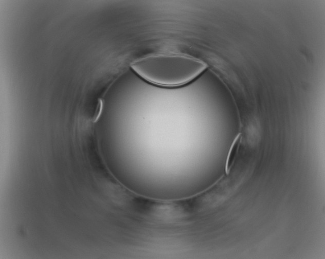 X0000114390521200910161256