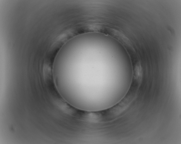 X0000114390522200910161256