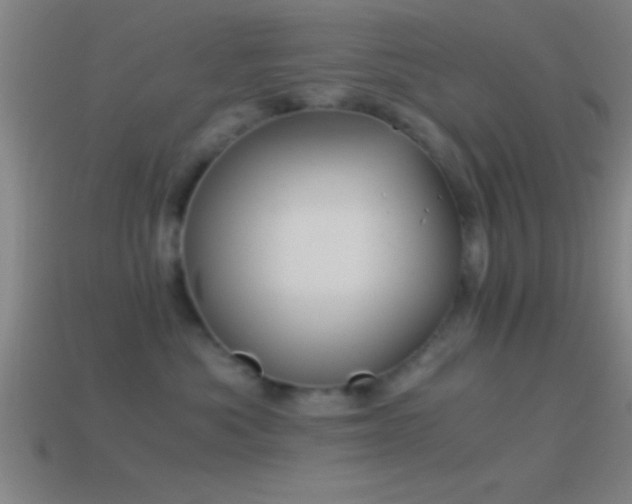 X0000114390525200910161256