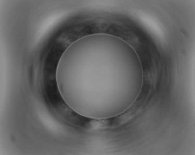 X0000114390526200910161256