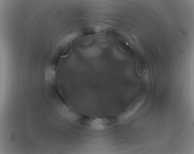 X0000114390527200910161256