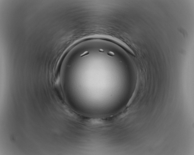 X0000114390528200910161256