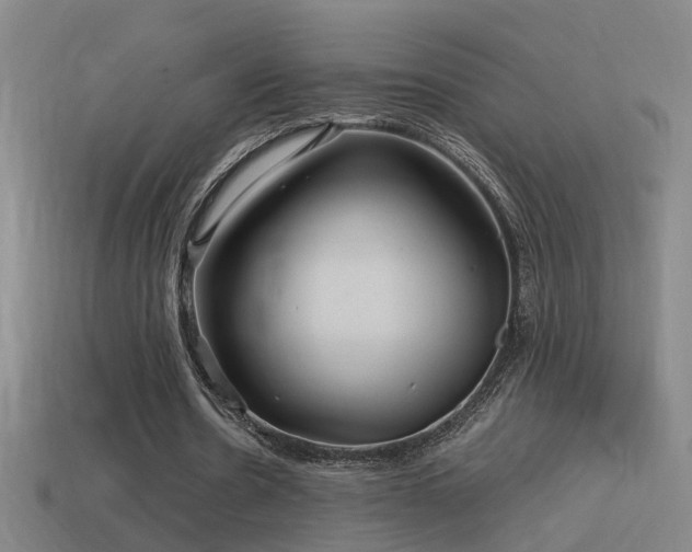 X0000114390530200910161256