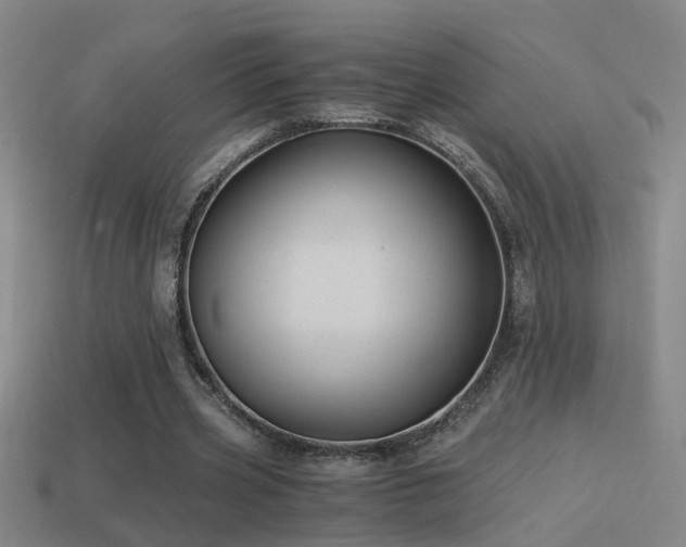 X0000114390533200910161256