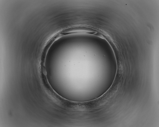 X0000114390535200910161256