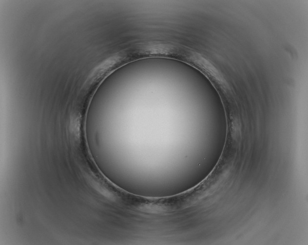 X0000114390537200910161256
