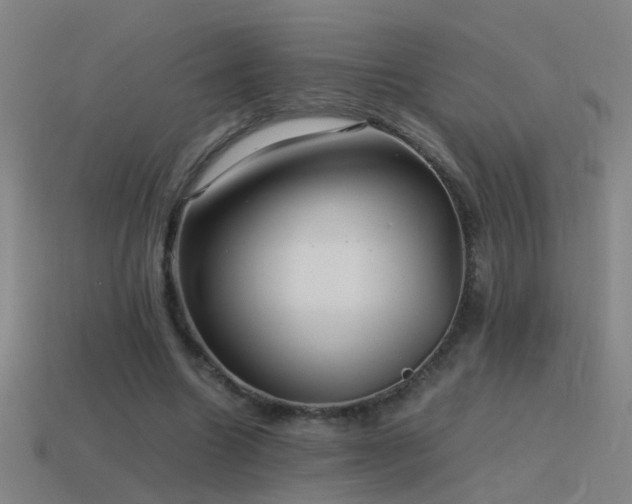 X0000114390538200910161256