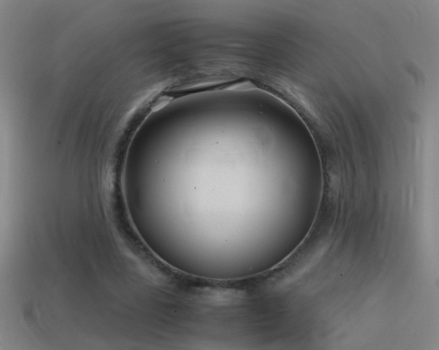X0000114390539200910161256