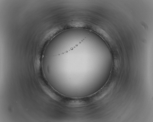 X0000114390541200910161256