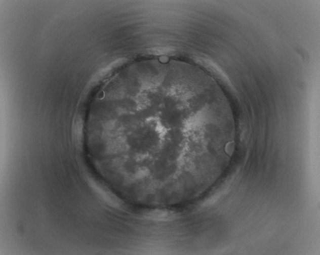 X0000114390542200910161256