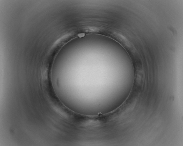 X0000114390543200910161256