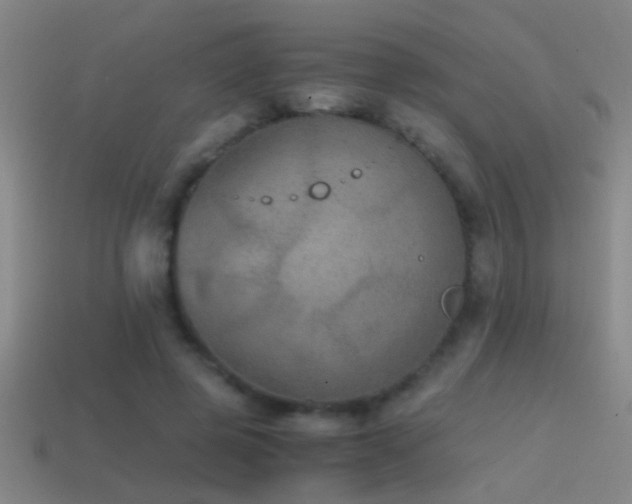 X0000114390545200910161256