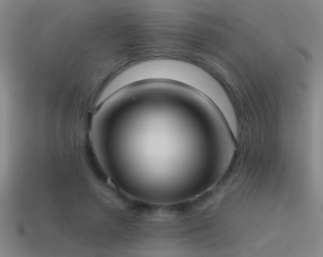X0000114390546200910161256