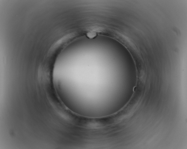 X0000114390547200910161256