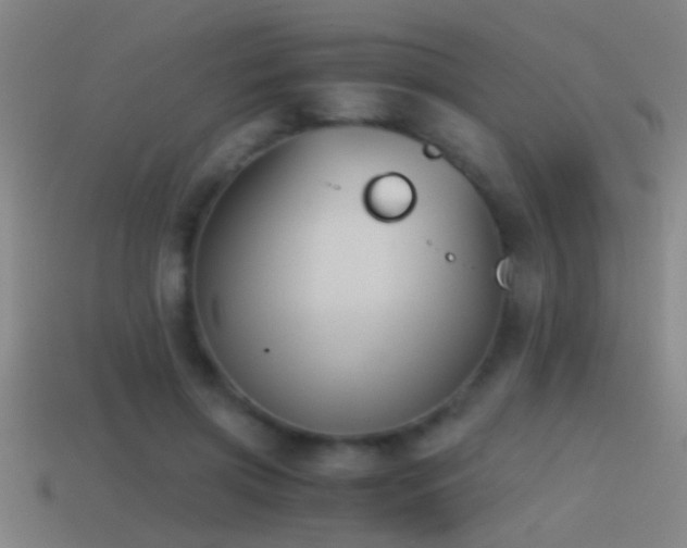 X0000114390549200910161256