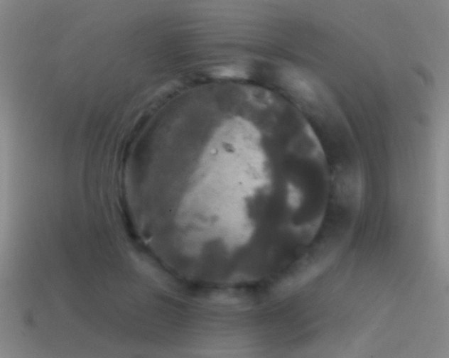 X0000114390550200910161256
