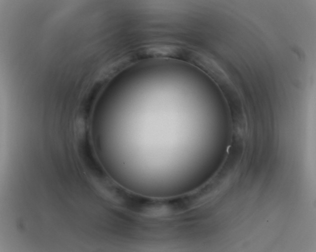 X0000114390551200910161256