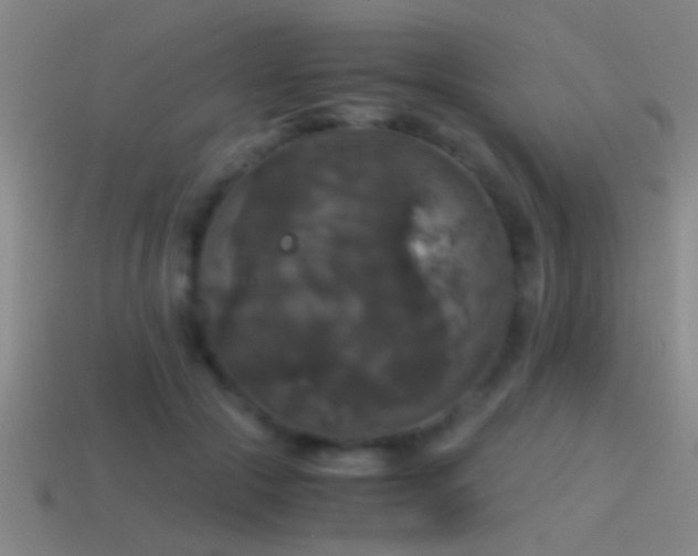 X0000114390553200910161256