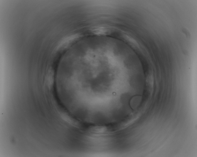 X0000114390554200910161256