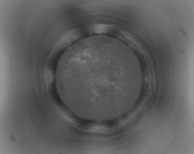 X0000114390555200910161256