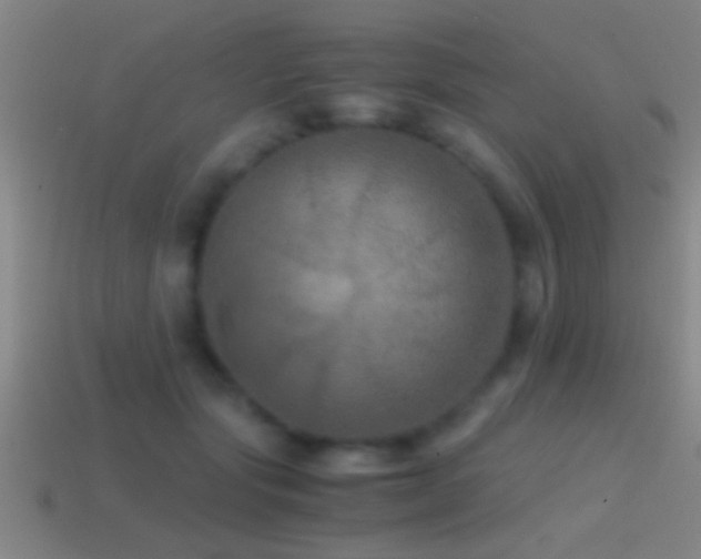X0000114390557200910161256