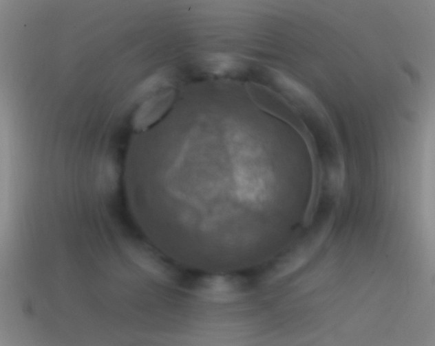 X0000114390558200910161256