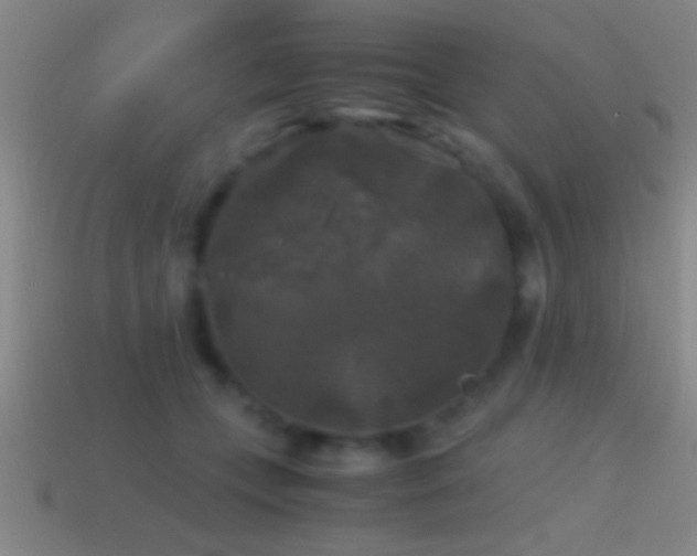 X0000114390559200910161256