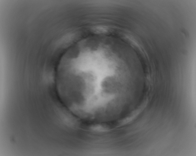 X0000114390561200910161256