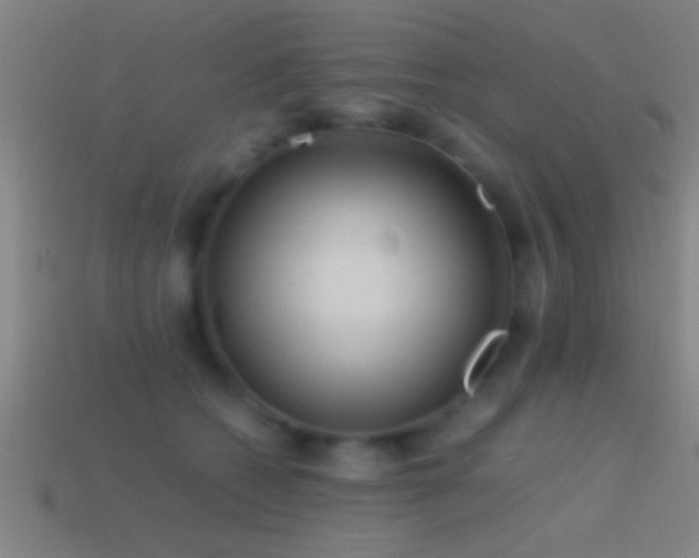 X0000114390562200910161256