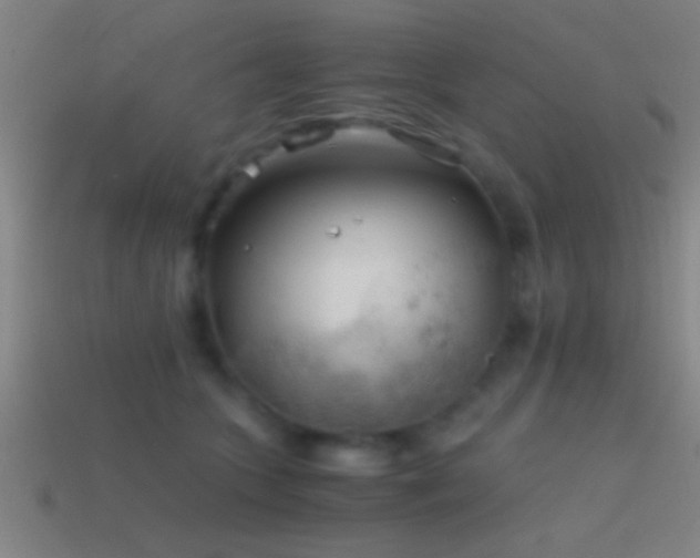 X0000114390563200910161256