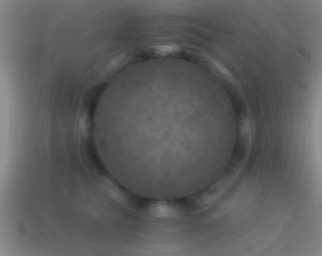 X0000114390565200910161256