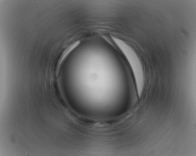 X0000114390566200910161256