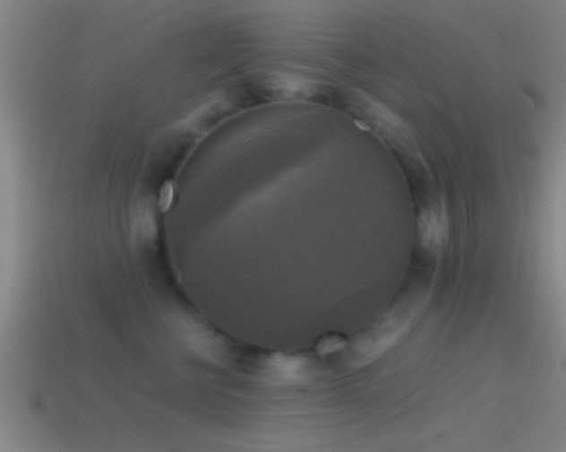 X0000114390570200910161256