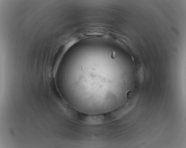 X0000114390571200910161256