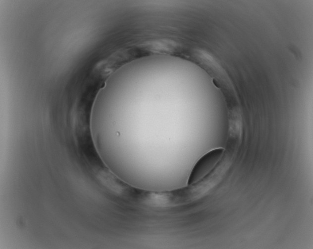 X0000114390573200910161256
