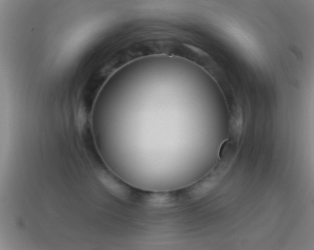X0000114390574200910161256