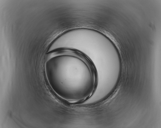 X0000114390577200910161256