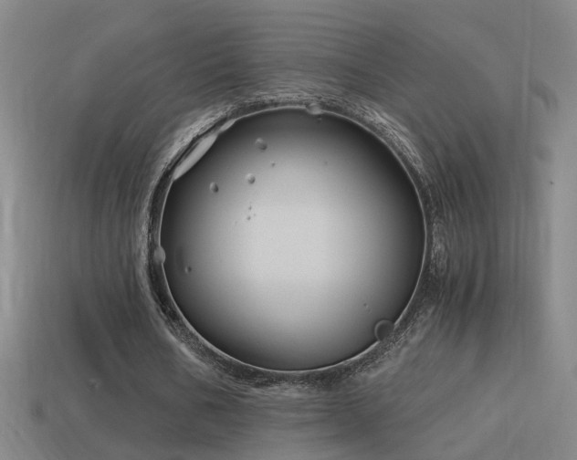 X0000114390578200910161256